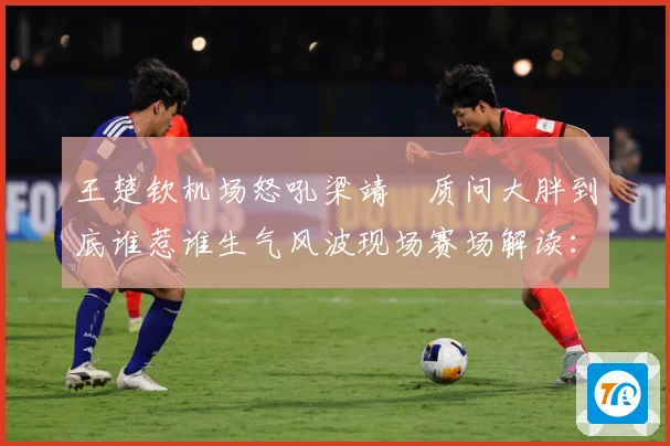 王楚钦机场怒吼梁靖崑质问大胖到底谁惹谁生气风波现场赛场解读：最新赛事动态与深度分析